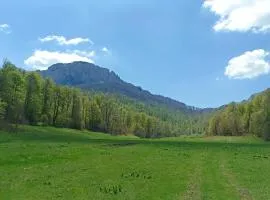 Apartmani Jelenača