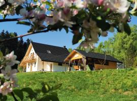 Domek Za Skałą, hotel s vířivkou v destinaci Kamesznica