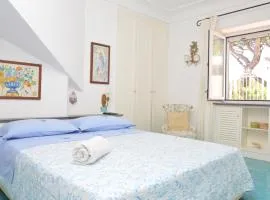 AUGUSTUS PARK Capri Center