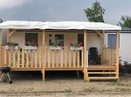 Tiny house on the beach
