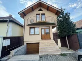 Casa cu brad