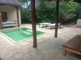 Flavia house