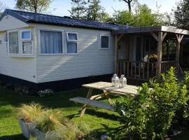 Olm29 Vakantiewoning in het Drents Friese Wold vlakbij Diever Zwembad, Animatie, Restaurant, Wandelen, Natuur