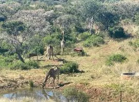 Tholo-Manzi Private Game Lodge