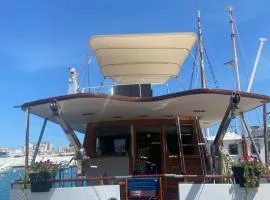 Sea Panther