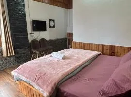 The himalayan sukoon villa near jibhi