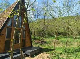 Retreat în padure