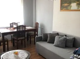 Mieszkanie do wynajęcia w Centrum