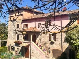 B&B Camelia