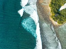 Bibee Surf
