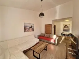 Apartment Bracovic - city center 2