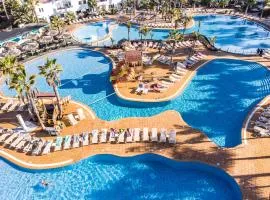Playa y Palmera