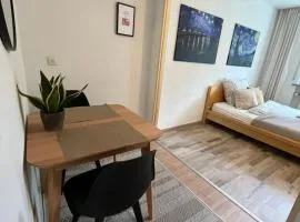 Gemütliches Apartment AllgäuSchatz in Kempten in zentraler Lage