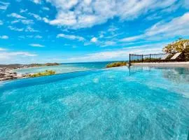 Carribbean Hill - Stunning View and infinity pool