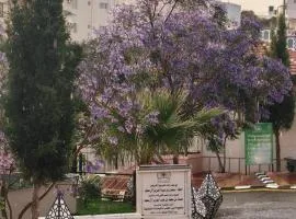 شاليهات الارض الخضراء لبيوت العطلات