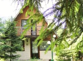 Alpina Maisonette Poiana Brasov