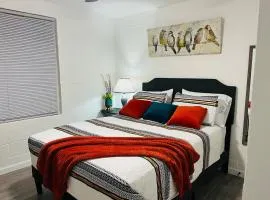 NEW! 5 minutes Convention Center, Palms Crossing Shopping & South Texas College