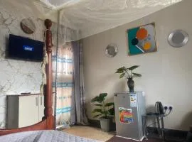 Kabale studio apartments