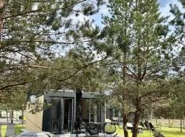 Villa Pino