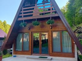 Căbănuțe Izbândiș, hotel em Suncuius