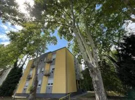 Lombkorona apartman