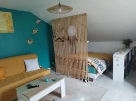 La chambre CHAT,au coeur des Vosges