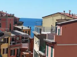 Rosa Dei Venti