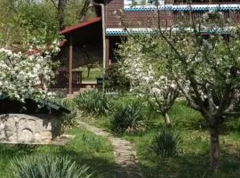 Casa Eden