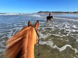 Royal Club Equestre Detroit Bed and Breakfast