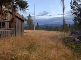 Large and family friendly cabin near Langedrag
