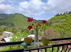 Borjomi Nest 1