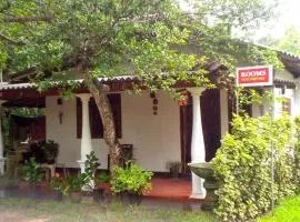Paradise Villa & Guest House