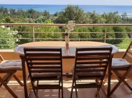 SOLENZARA sea view