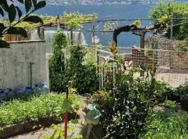 Cute studio with garden and terrace,by the sea