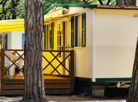 MareBlue Mobilhomes on Camping Mare e Pineta