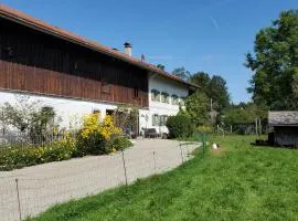 Biohof Dimper - HühnerNest