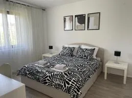 All You Need Holiday