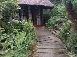 Robin's Thatch Studio- bush camp in the suburbs-sleeps 2