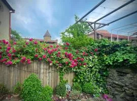 VILLA SABA WITH TWO BEDROOMS- სასტუმრო საბა