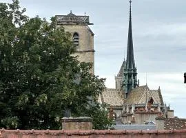 Studio vue cathédrale St-Bénigne Dijon