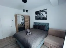 Cozy Home