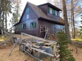 Almhütte Steirische Botschaft
