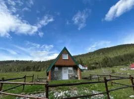Lake house- Jakov