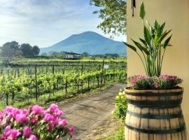 Vesuvio Inn Guest House e Wine Experience, ξενοδοχείο σε Boscotrecase
