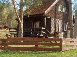 Domek u Bartnika z basenem na Mazurach