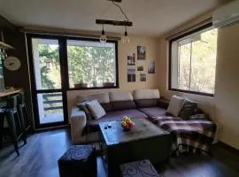 "Whispering pines" vacation home, close to Sofia