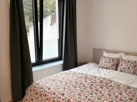 Spacious suite with private bathroom