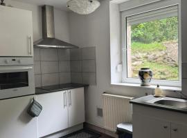 200 m centre ville maison mitoyenne avec place de parking gratuite, hotel in Épinal