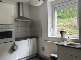 200 m centre ville maison mitoyenne avec place de parking gratuite