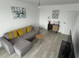 Luxury & Cozy Apartment - Maurer Residence Tg-Mureș